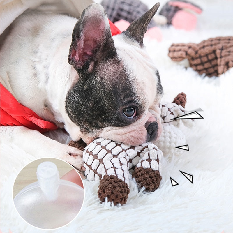 Squeaky Wear-Resistant Chew Dog Toy - Free Shipping - Durable - Dog toy