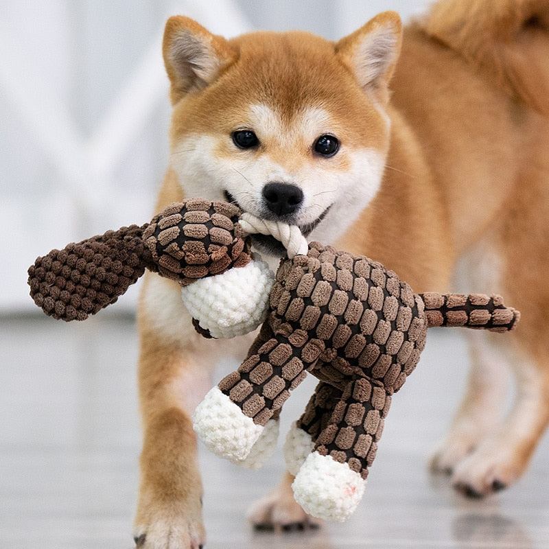Best Selling Durable Dog Toy - Free Shipping - Durable - Dog toy