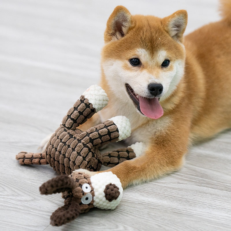 Best Squeaky Wear-Resistant Chew Dog Toy - Free Shipping - Durable - Dog toy