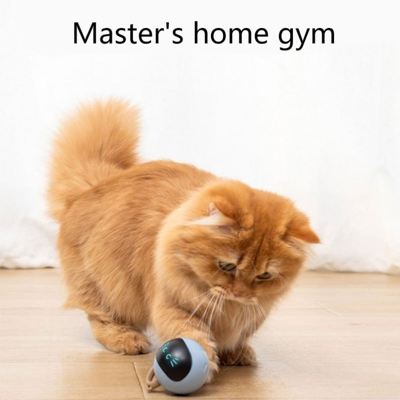 Best Interactive Cat Toy Self-Rotating Cat Ball - Smart cat toy - Free Shipping -cat ball