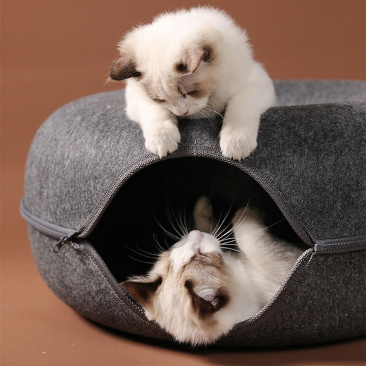 Interactive cat tunnel - Best cat toy - Free Shipping