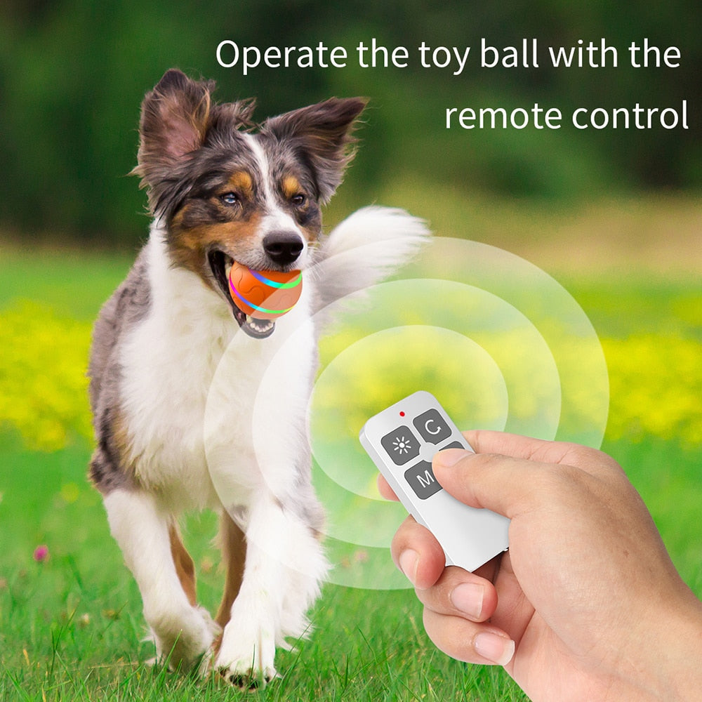 Best Durable Smart Dog Ball - Smart dog toy - Free Shipping -Dog ball