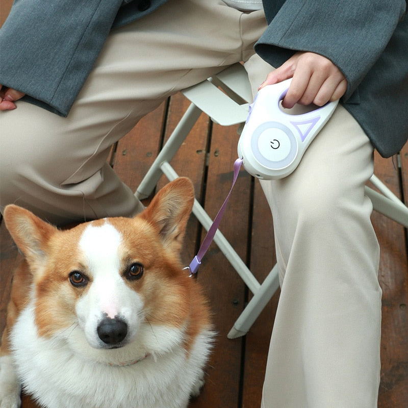Durable Comfortable Dog Leash - Bestseller - Free Shipping - Dog Leash